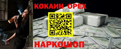 гидра Будённовск