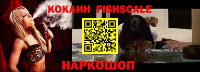 гидра Будённовск