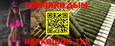 гидра Будённовск