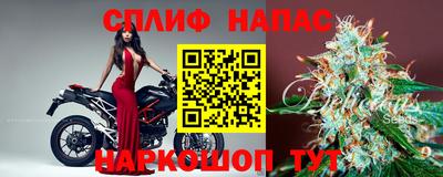 гидра Будённовск