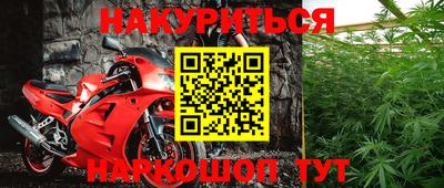 гидра Будённовск