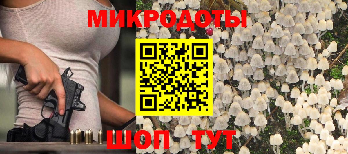 Псилоцибиновые грибы Psilocybine cubensis  Вход с VPN  Рославль 